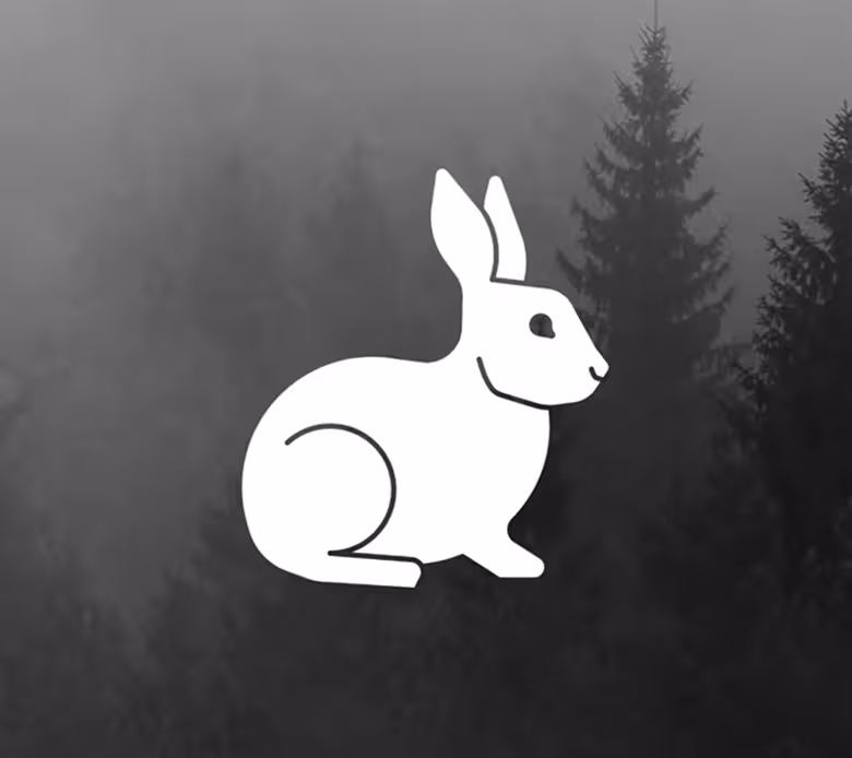 White Rabbit Group blog article header image