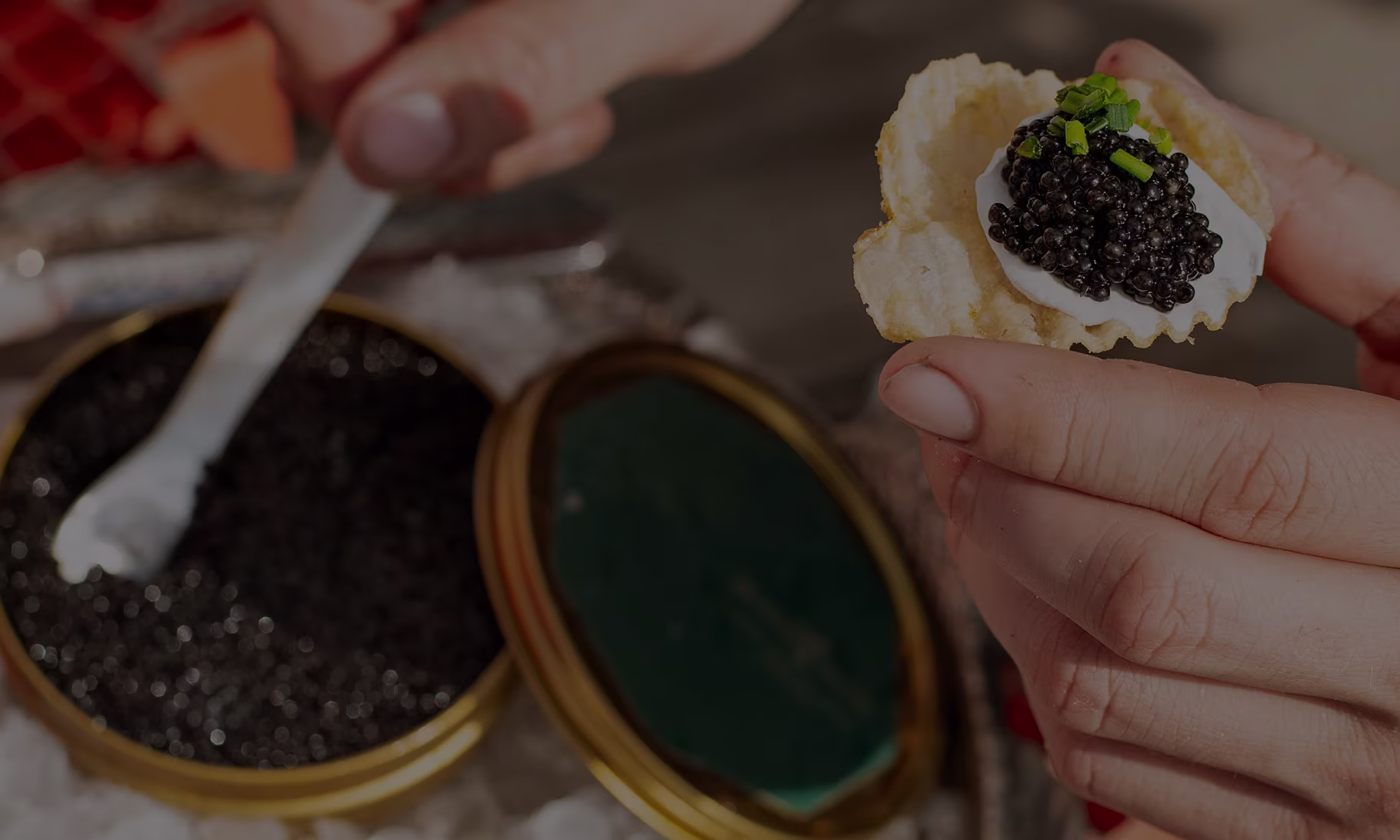 Island Creek Oysters