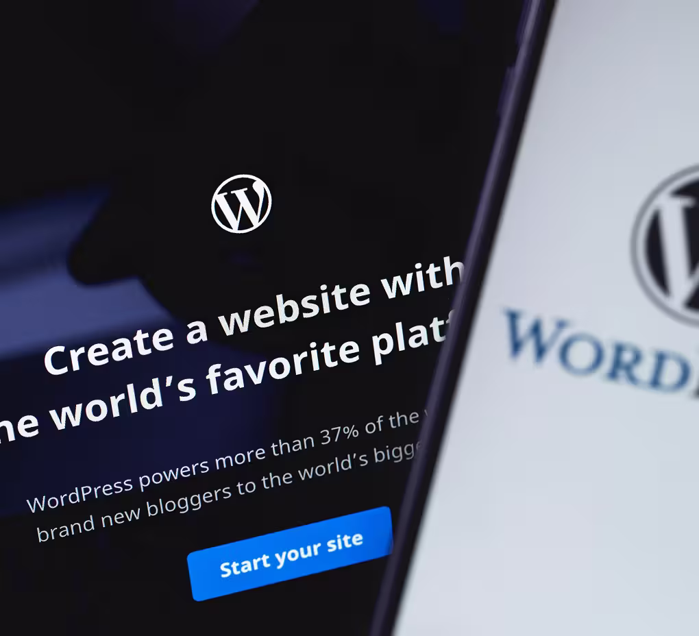 WordPress CMS platform illustration showing flexible content management and website capabilities