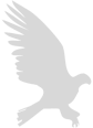 vander logo