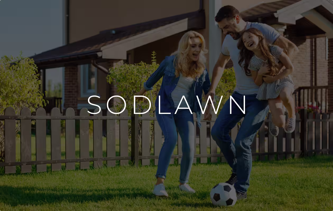 Sodlawn ecommerce platform