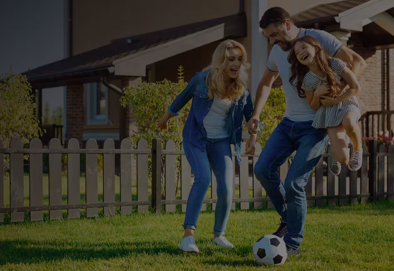 Project showcase image