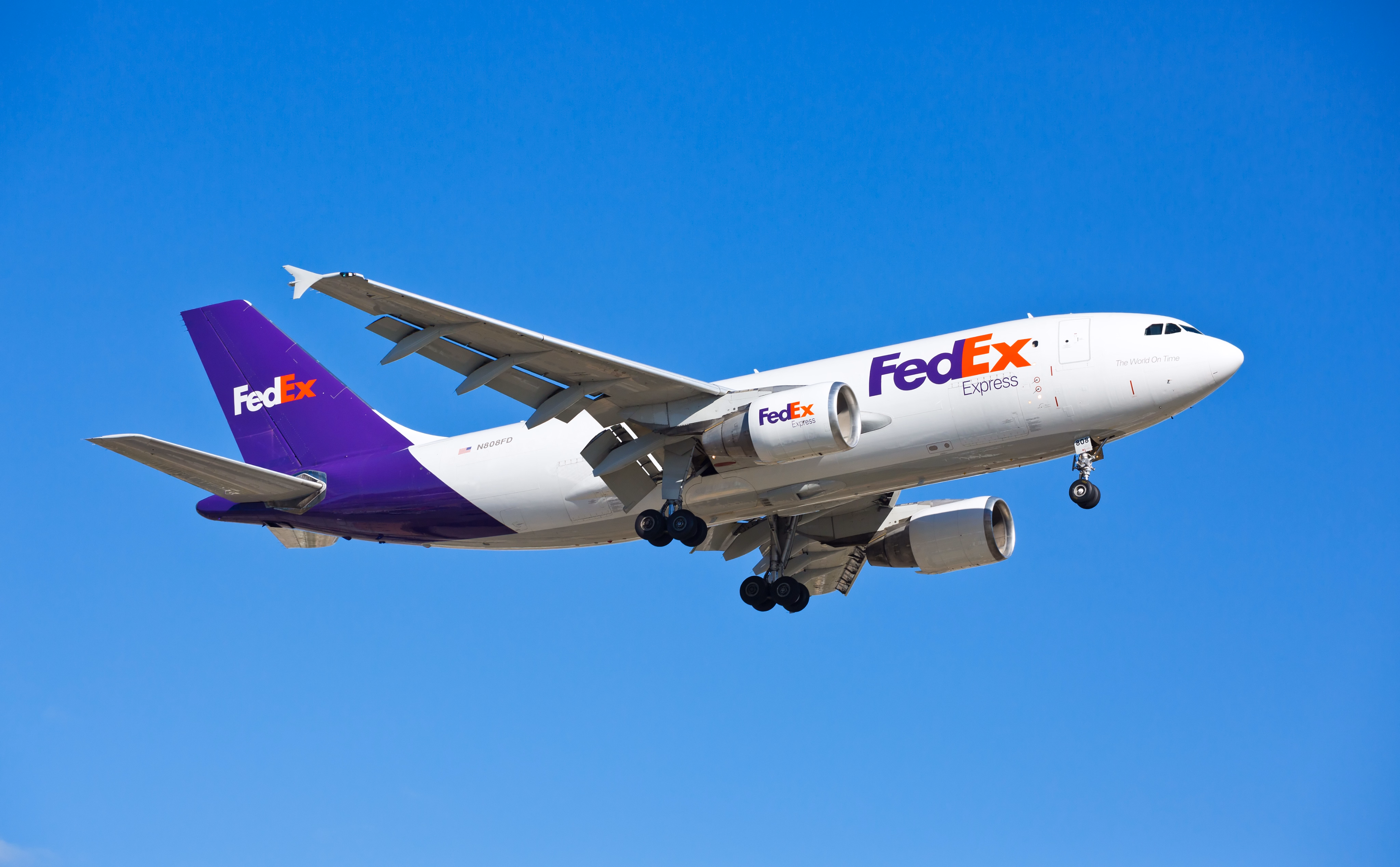 FedEx Logo