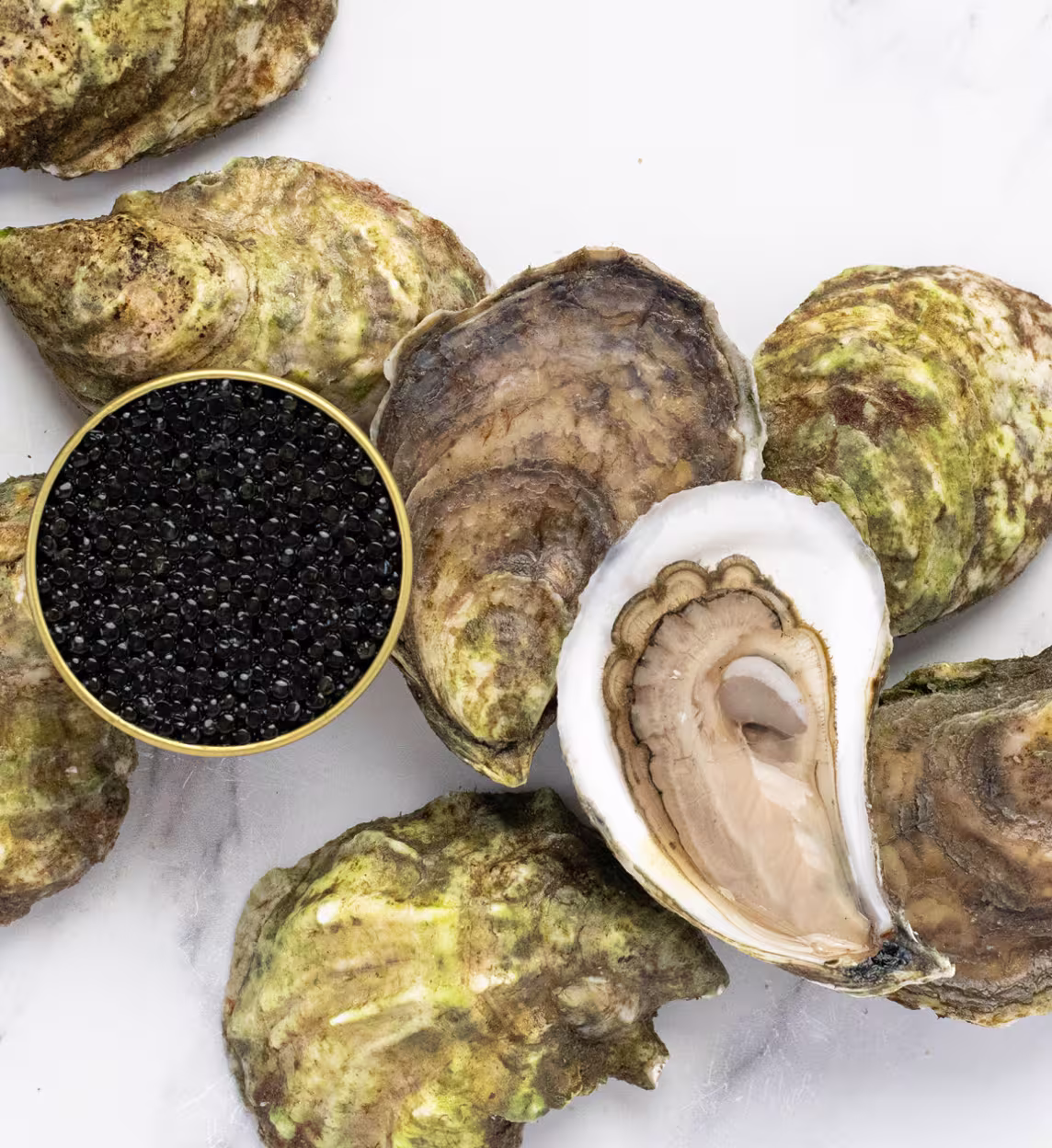 Island Creek Media 2